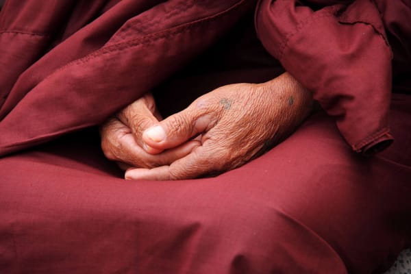 Buddhist monk microbiome study reveals impact of meditation on gut bacteria